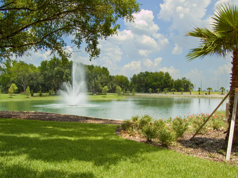 The Importance of Clean Water for Ponds