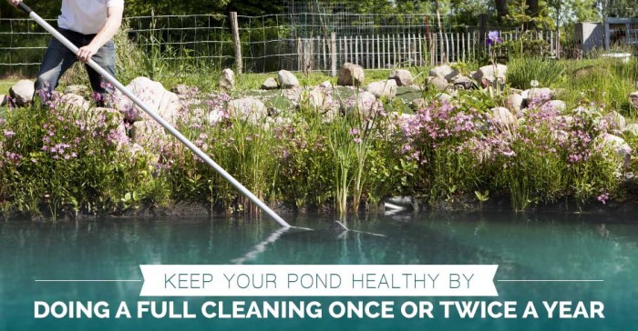 Tips for Keeping Your Pond Clean