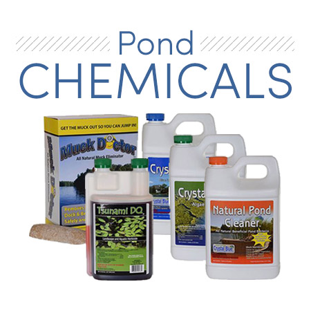 Pond Chemicals