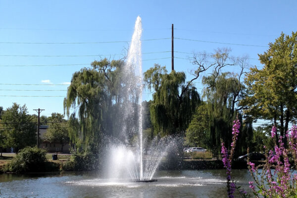 Otterbine Giant 10 HP Aqua Star Fountain