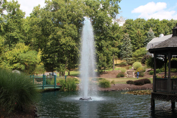 Otterbine Comet Floating Fountain