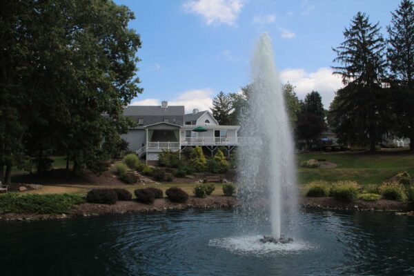 Otterbine Comet Floating Fountain