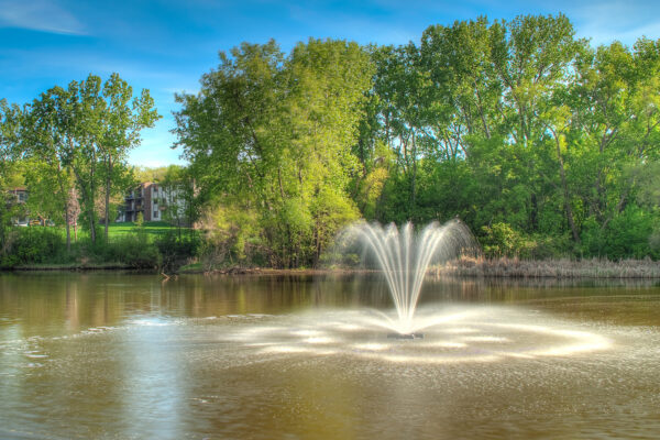 Otterbine Constellation Floating Fountain