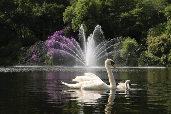 Otterbine Equinox Floating Pond Fountain