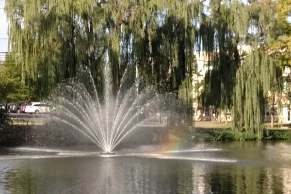 Otterbine Equinox Floating Pond Fountain