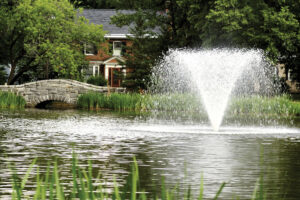 Otterbine Gemini Floating Pond Fountains