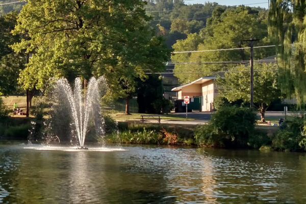 Otterbine Omega Floating Pond Fountain