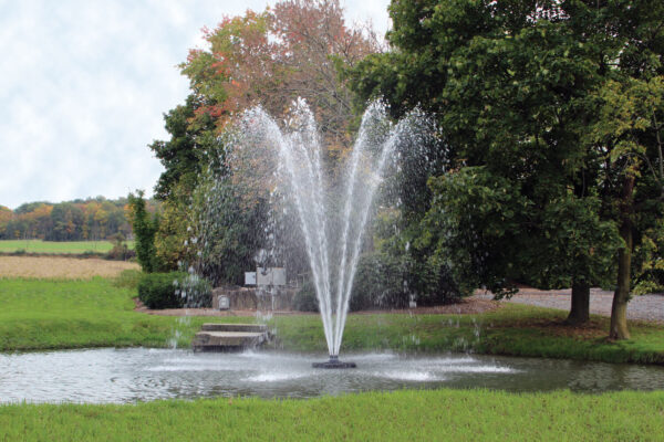 Otterbine Omega Floating Pond Fountain