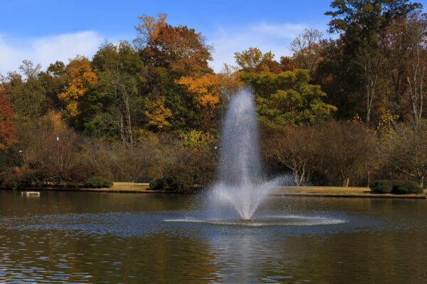 Otterbine Phoenix Floating Pond Fountain