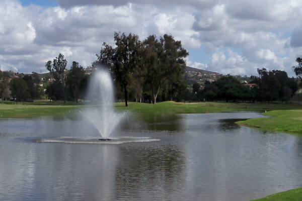 Otterbine Phoenix Floating Pond Fountain