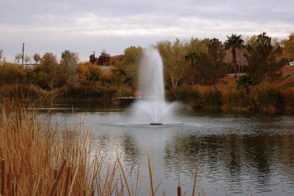 Otterbine Phoenix Floating Pond Fountain