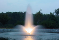 Otterbine Phoenix Floating Pond Fountain