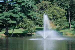 Otterbine Phoenix Floating Pond Fountain