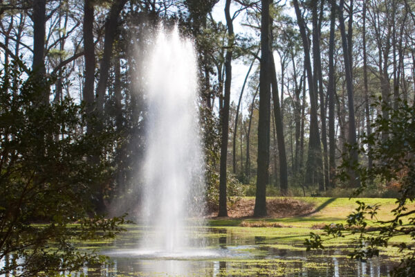 Otterbine Rocket Floating Pond Fountain