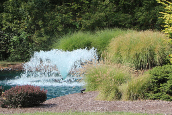 Otterbine Saturn Floating Pond Fountain