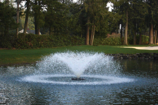 Otterbine Saturn Floating Pond Fountain