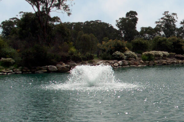 Otterbine Saturn Floating Pond Fountain