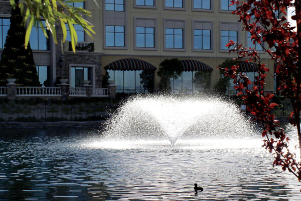 Otterbine Sun Burst Floating Pond Fountain