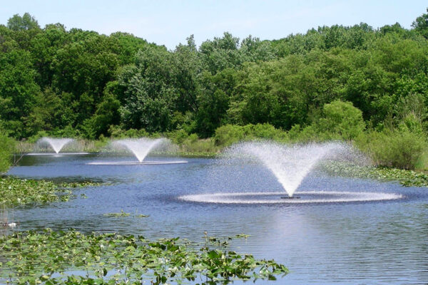 Otterbine Sun Burst Floating Pond Fountain