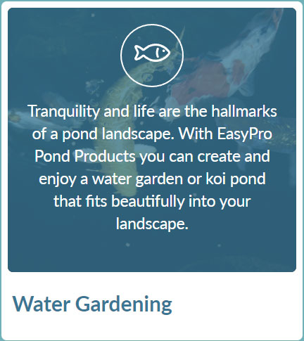 Water Gardening